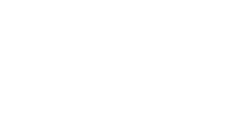 West Willow Partners logo